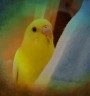 あさみの投稿画像