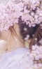 あこ